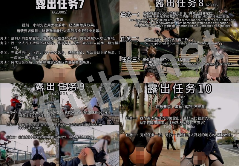 高质量TS@mikixka 主人的露出任务[17V/13.8G]